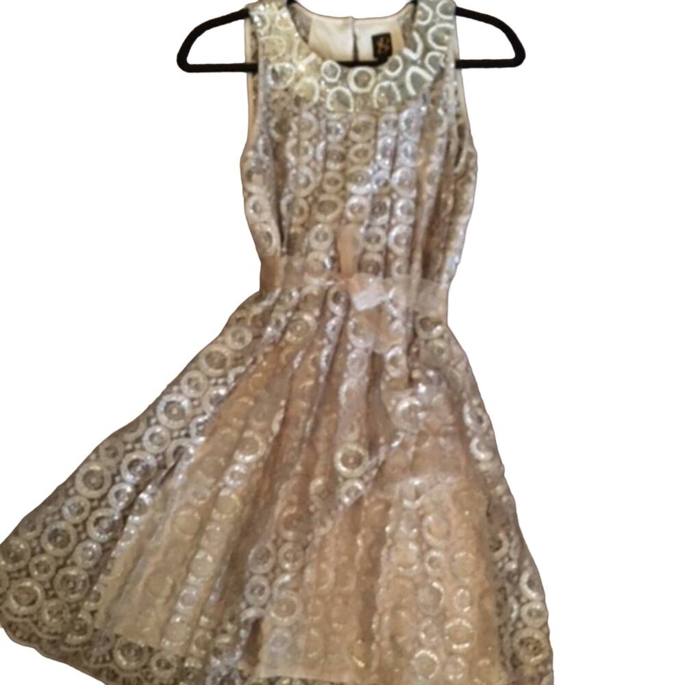NWT Anthropologie Y2K Party Special Occasion Silver & Gold Lace Dress  Size 4